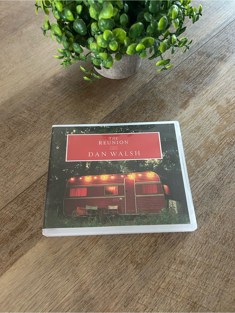 "The Reunion" audiobook by Dan Walsh